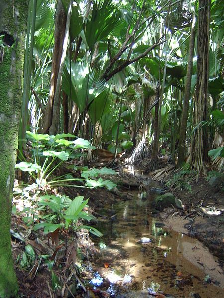 File:Vallei de Moi.jpg