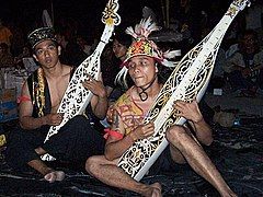 Sapeh, traditional lutes of the Orang Ulu people of Malaysia