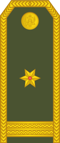 File:13-Montenegro Army-MAJ.svg