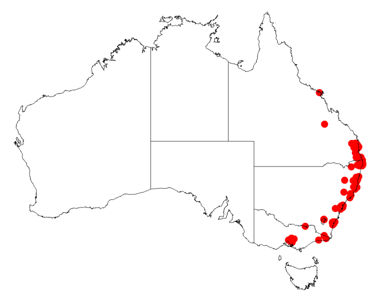 File:Acacia longissimaDistMap555.png