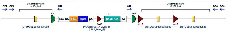 File:Art4 tm1aWTSI(KOMP).jpg