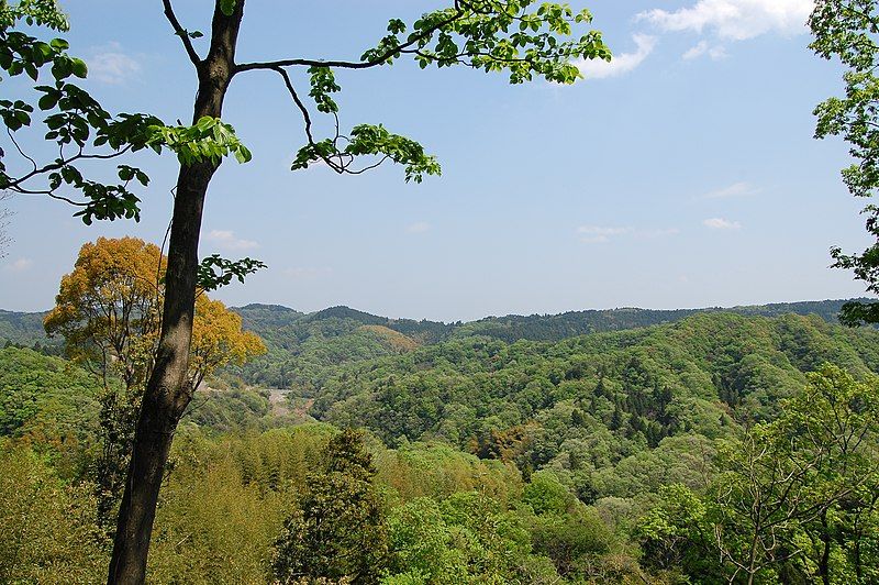 File:Boso-hill.JPG