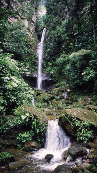 File:Catarata de ahuashiyacu.jpg