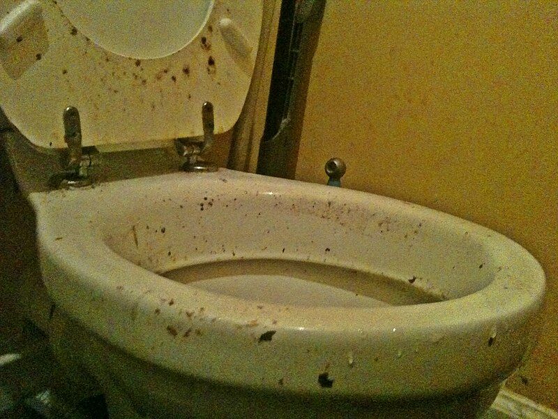 File:Dirty toilet.JPG