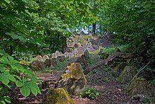 lines of concrete pyramids in woodland