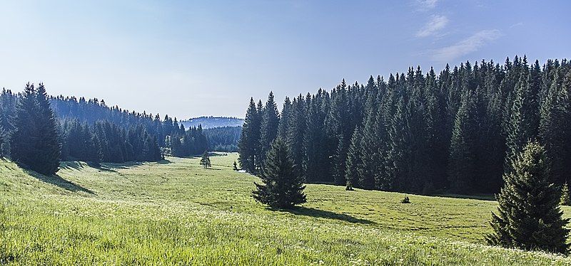 File:Erzgebirge in Tschechien001.jpg