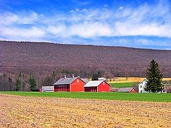 A farm in Heidelberg Township in March 2010