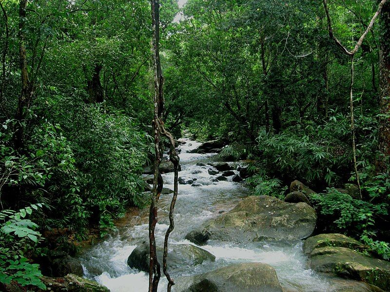 File:Kallar river.jpg