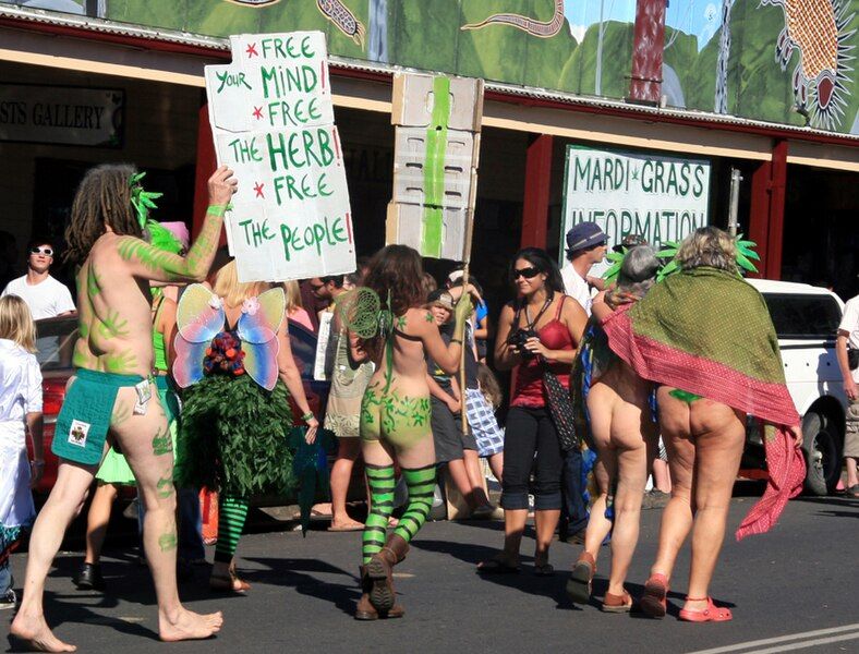 File:Mardigrass protest2.jpg