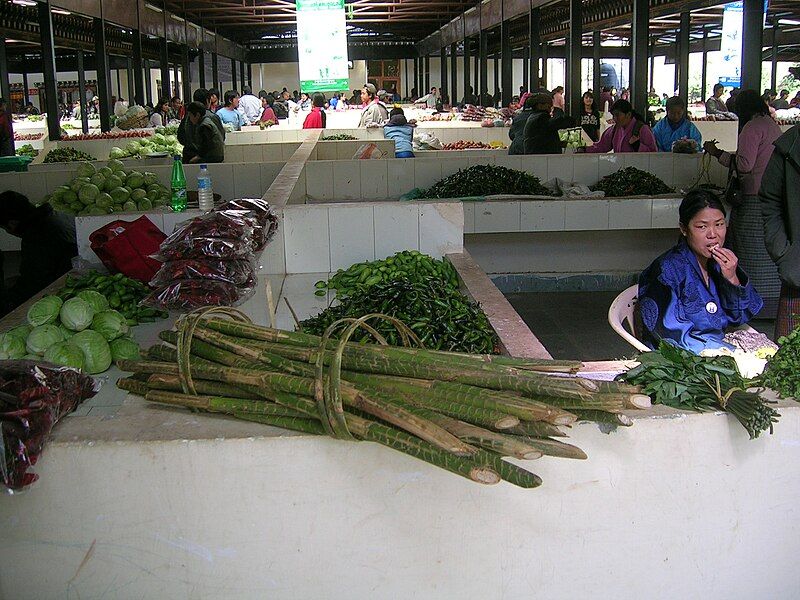 File:Plectocomia Bhutan.jpg