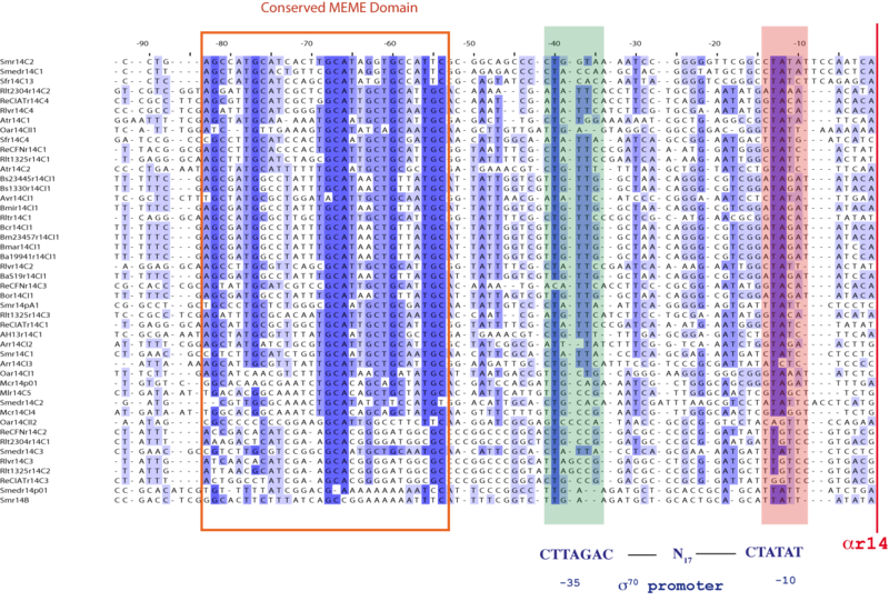 File:Promoters14C.png