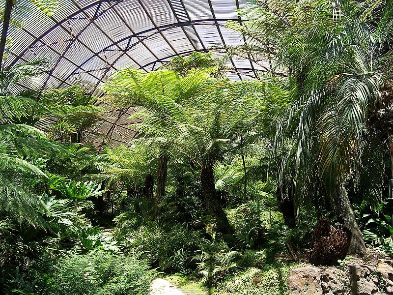 File:Rippon LEa fernery.jpg