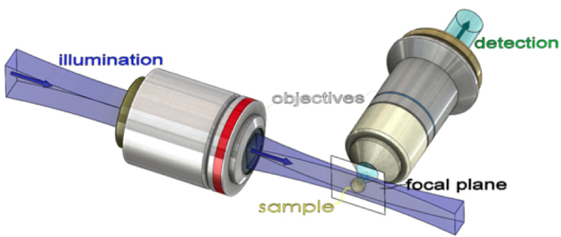 File:Structure de MFL.png