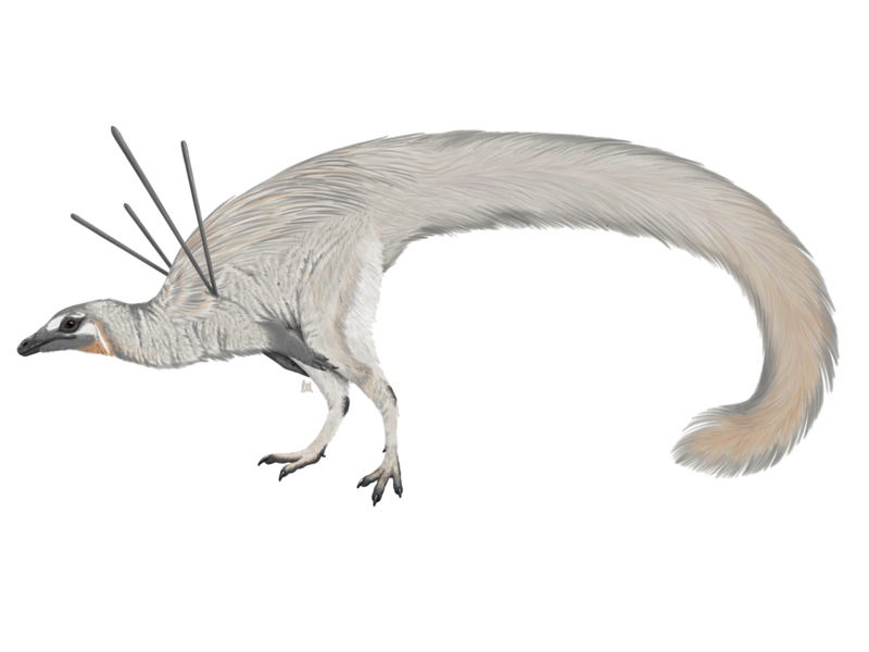 File:U. jubatus Reconstruction.png