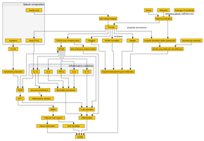 Image illustrating a flowchart of the pathophysiology of acne