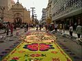 Image 34Sawdust carpet in Holy Week. (from Culture of Honduras)