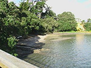 View of the beach at Beach Haven from Beach Haven Wharf