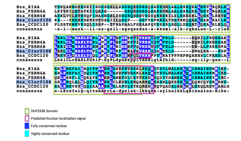 File:DUF3338 Domain.png