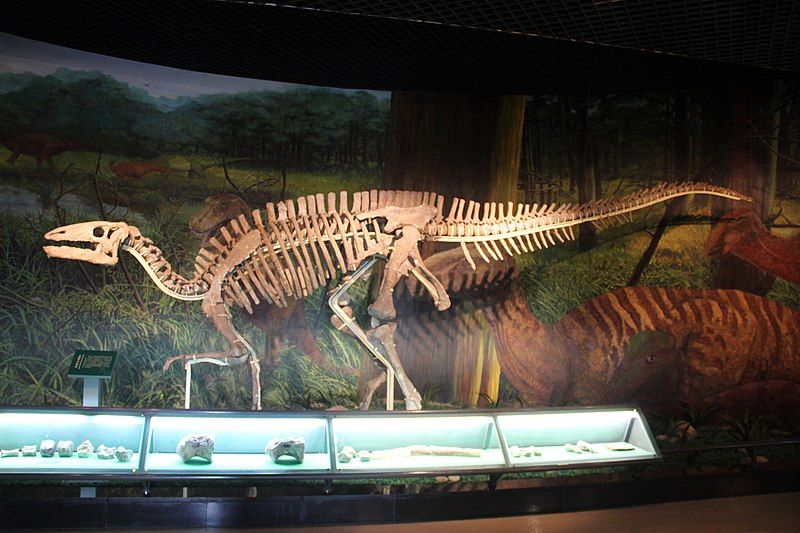 File:Dinosaur Skeleton (10096874525).jpg