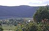 Blick von Deidesheim to the Eckkopf (in centre)