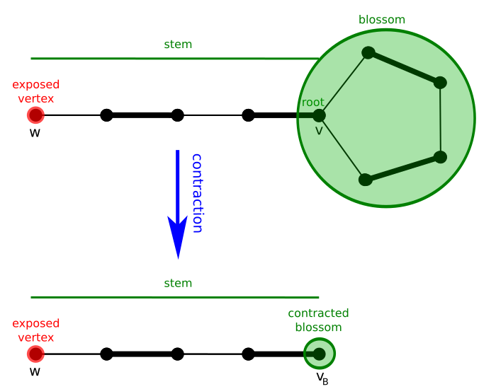 File:Edmonds blossom.svg