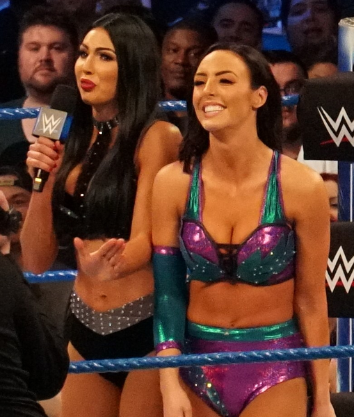 File:IIconics.png