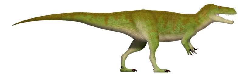 File:Megalosaurus UDL.png