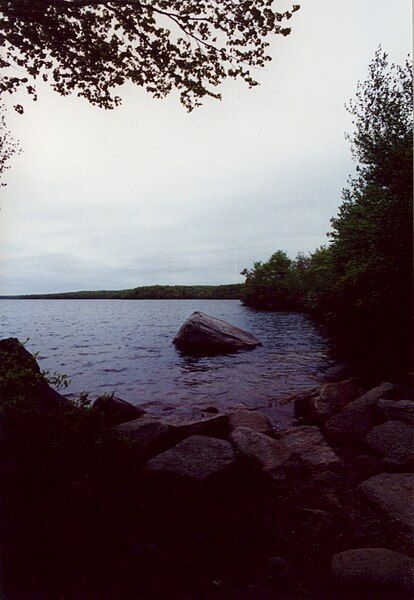 File:Midstate Trail Wallumlake.jpg