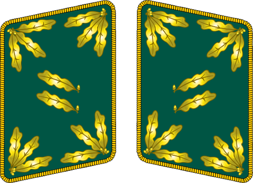 File:RF-Ministerialdirigent collar.svg