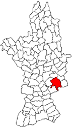 Location in Olt County