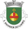 Coat of arms of São Salvador do Campo