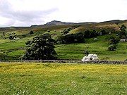 Wild Boar Fell, seen from Mallerstang in June, with wild flowers in the hay meadows