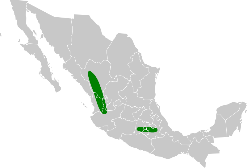 File:Xenospiza baileyi map.svg