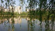 A pond in the college.