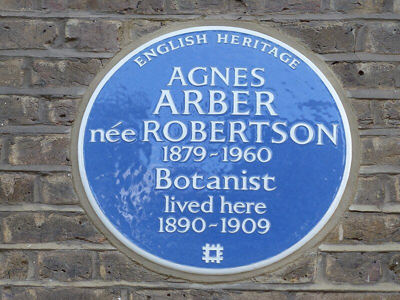 File:Agnes Arber plaque.jpg