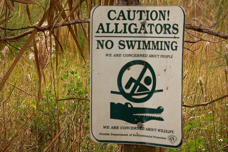 File:Alligator warning.jpg