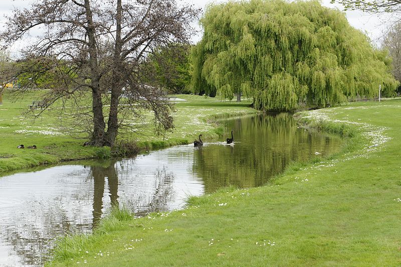 File:Anderson Park, Napier.jpg