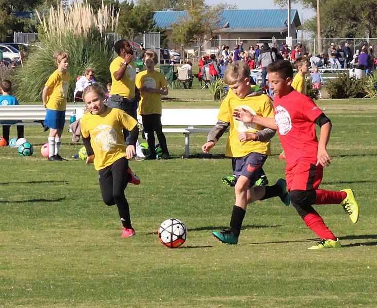 File:Brown Road Soccer.jpg