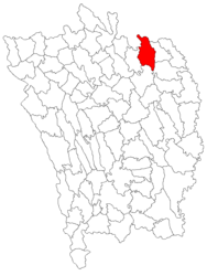 Location in Vaslui County