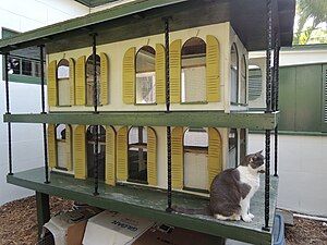 A miniature house for the cats