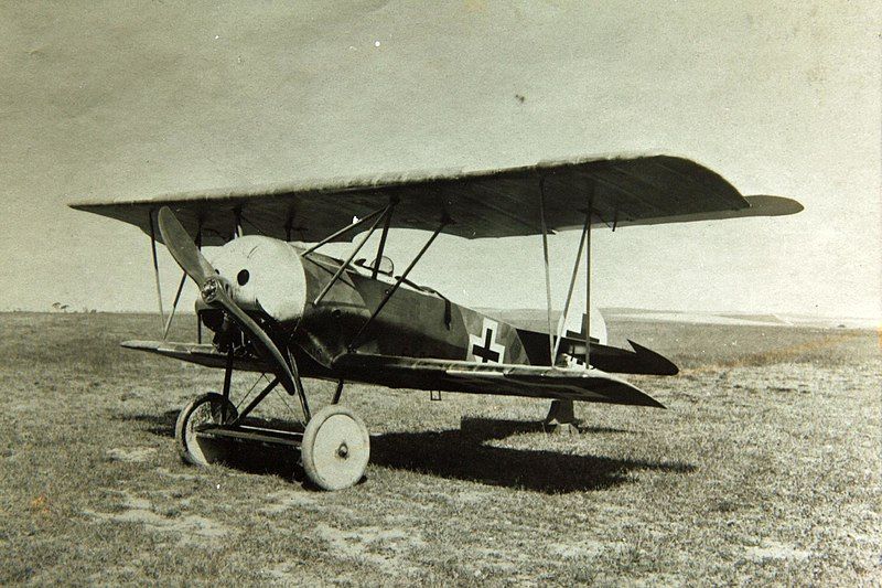 File:Fokker D.VI.jpg