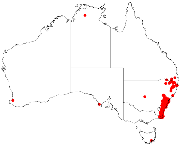 File:Hakea dactyloidesDistMap35.png