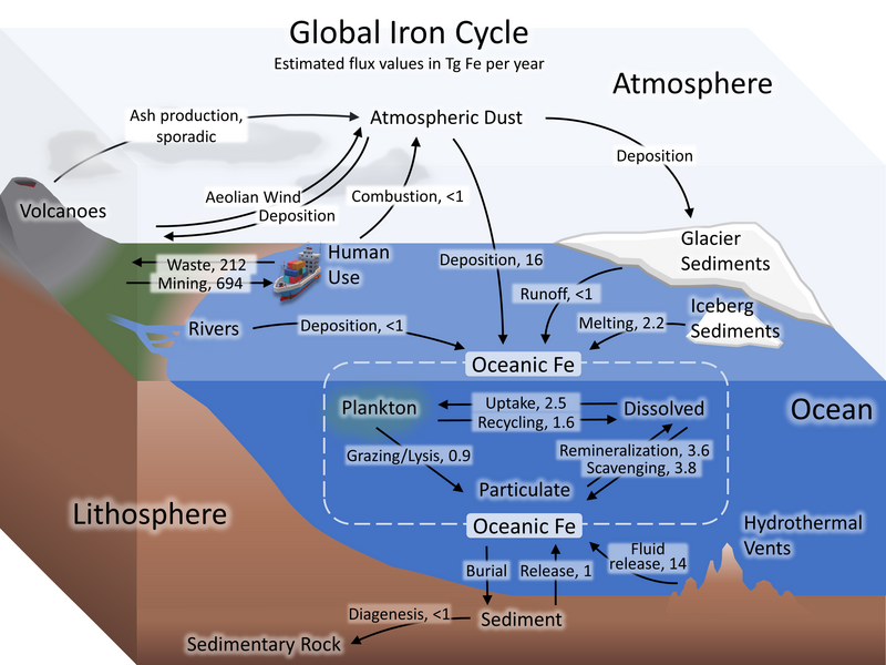 File:Iron cycle7.png