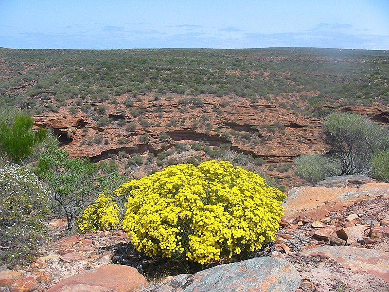 File:Kalbarri Park (2005).jpg