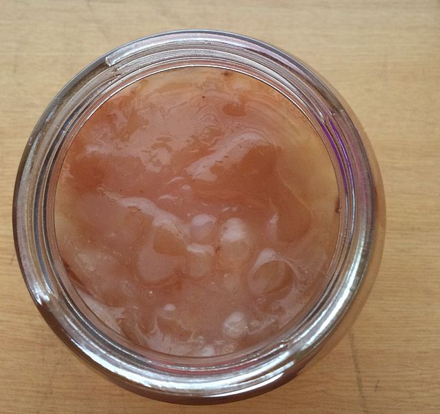 File:Kombucha culture development.jpg