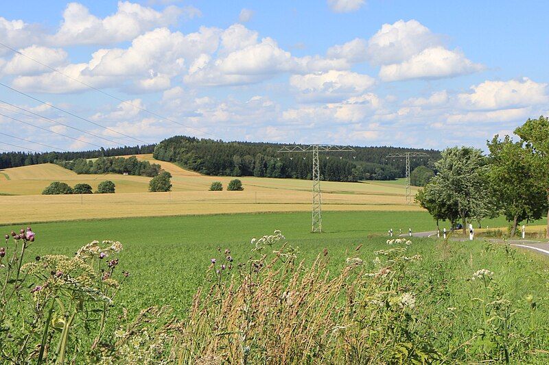 File:Lauterbacher Knochen.jpg