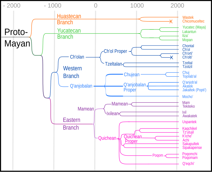 File:Mayan Language Tree.svg