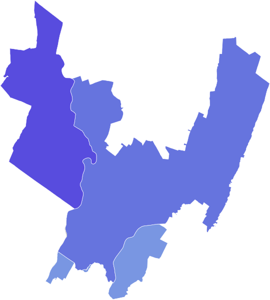 File:NJ-9 election 2020.svg