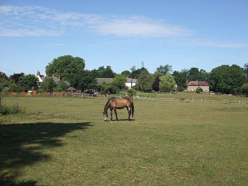 File:Offley Hill meadows.JPG