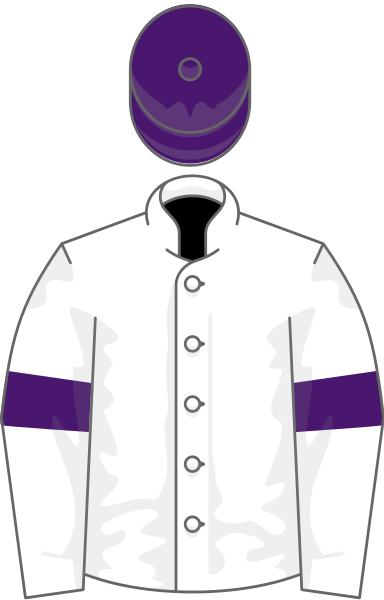 File:Owner Decadent Racing.svg